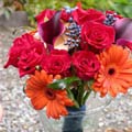 Posy Style Wedding Bouquet of dwarf callas, viburnum, roses, gerberas